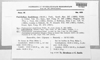 Venturia inaequalis image